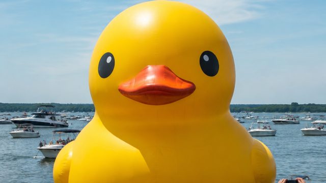 Giant Rubber Duck Takes Center Stage at Put-in-Bay This Summer